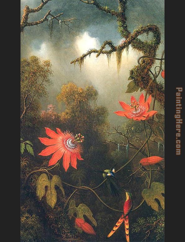 Two Hummingbirds Perched on Passion Flower Vines